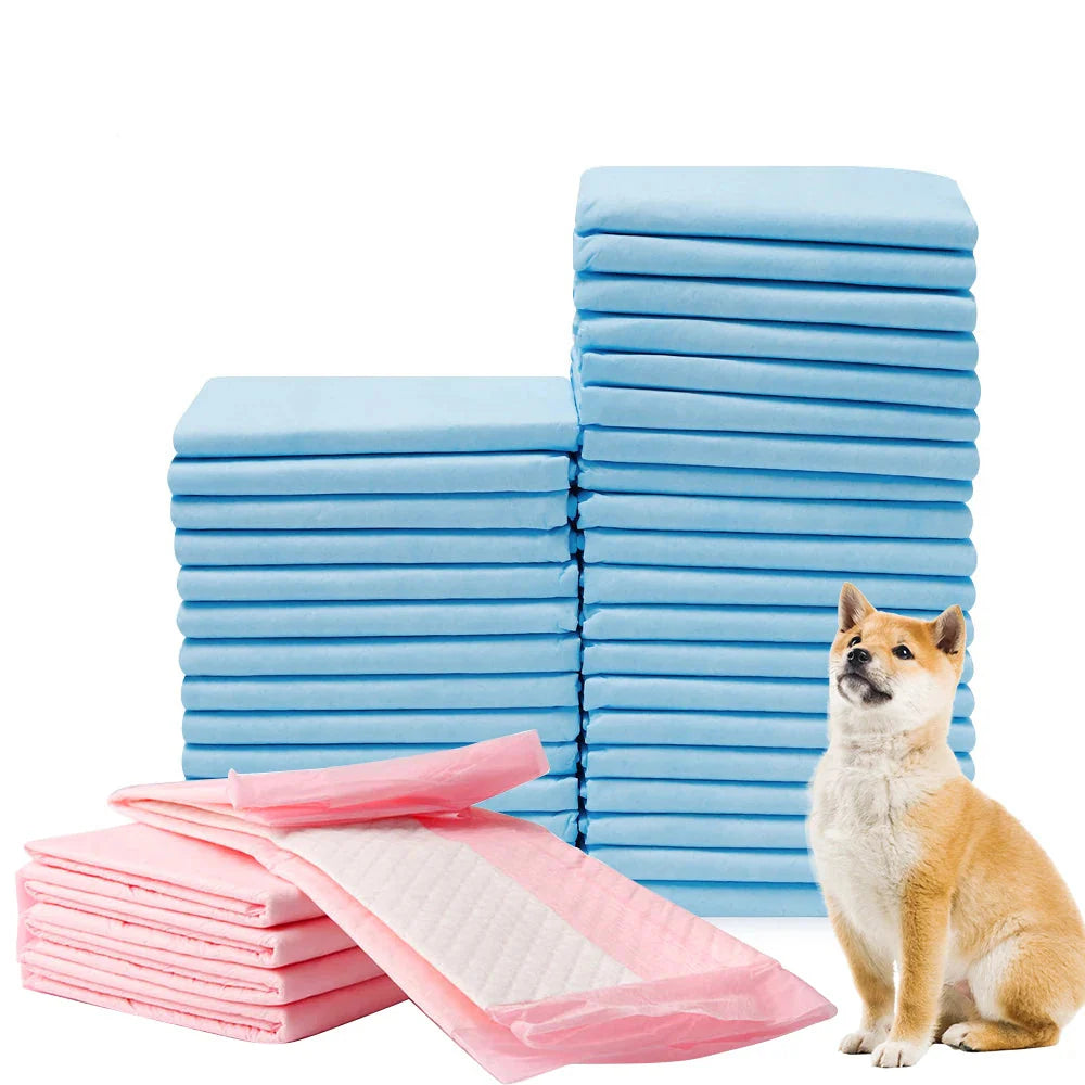 DRYPAWS – 50x Jednorazowe Maty do Moczu dla Psów
