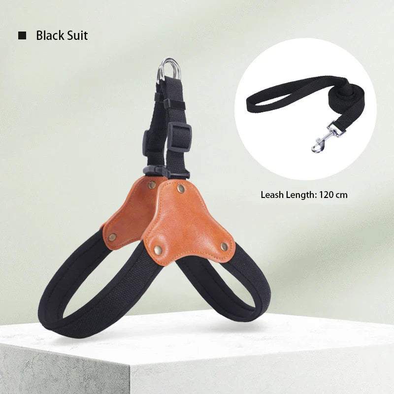 PawCommand Premium Outdoor Zestaw