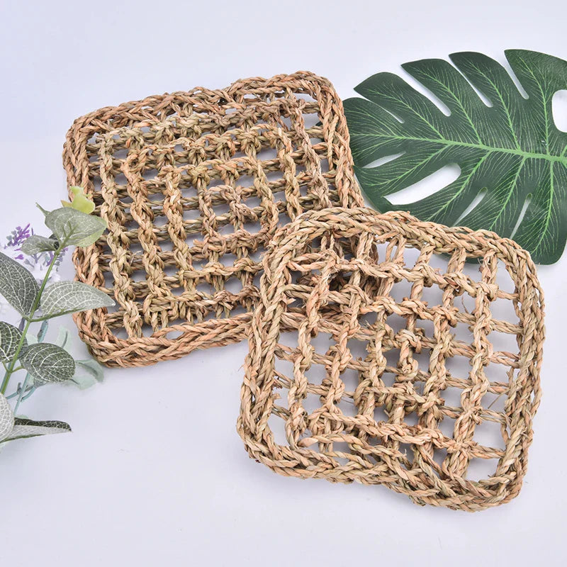 Hagedis Leżak Eye Hammock