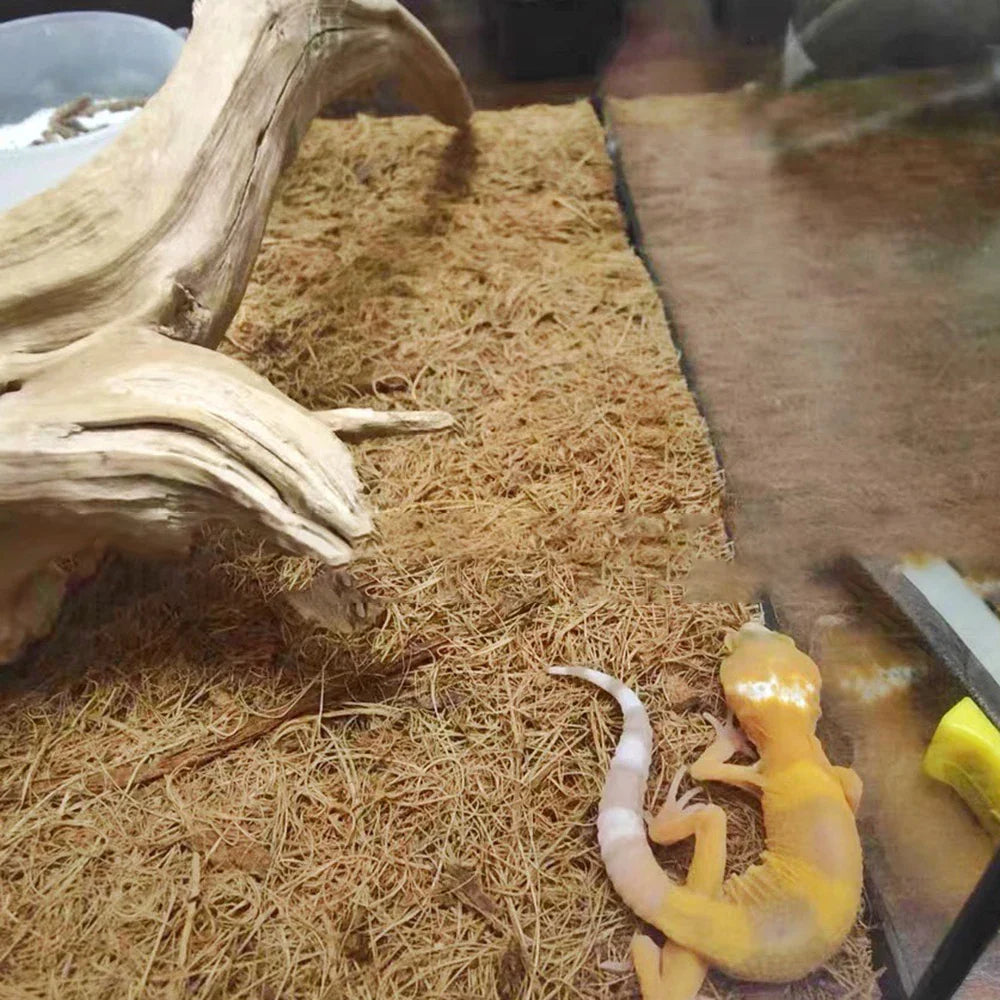 EcoTera Naturalna Mata do Terrarium z Włókna Kokosowego