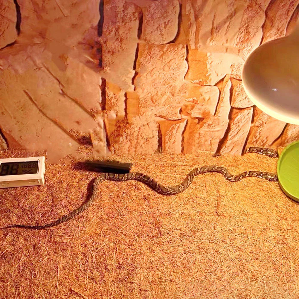 EcoTera Naturalna Mata do Terrarium z Włókna Kokosowego