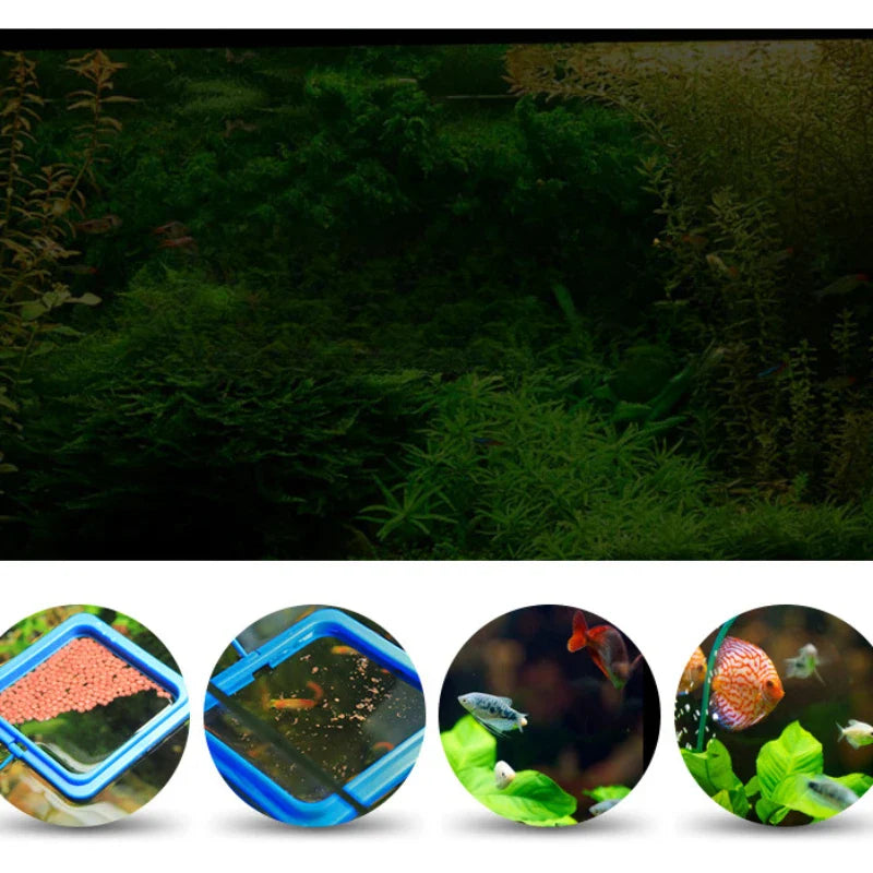 AquaRing Pierścień do Karmienia Ryb