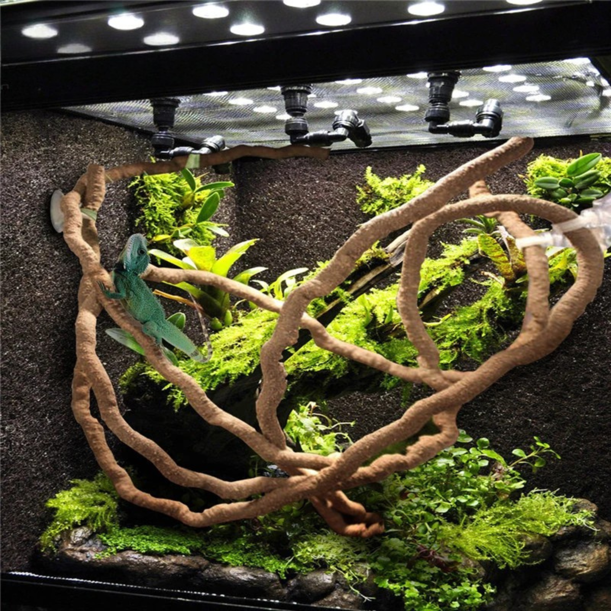 Elastyczne gałęzie do terrariów
