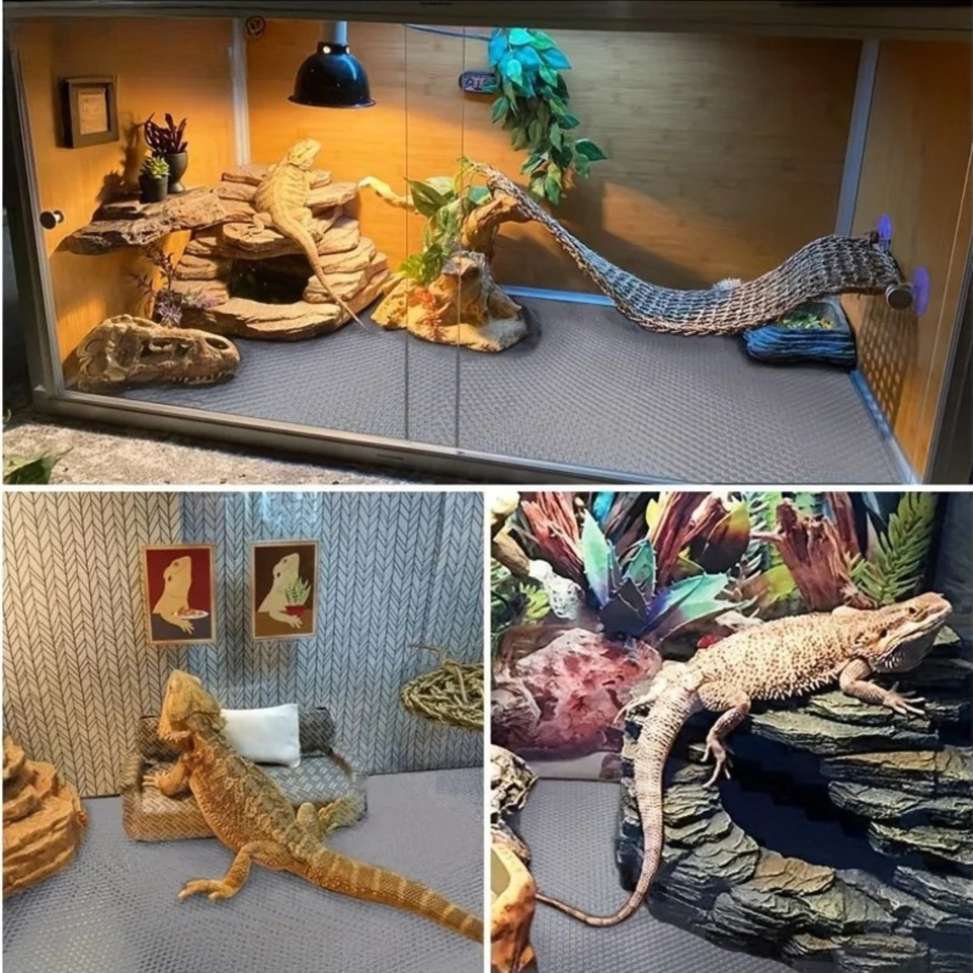 Wykładzina do terrarium dla gadów