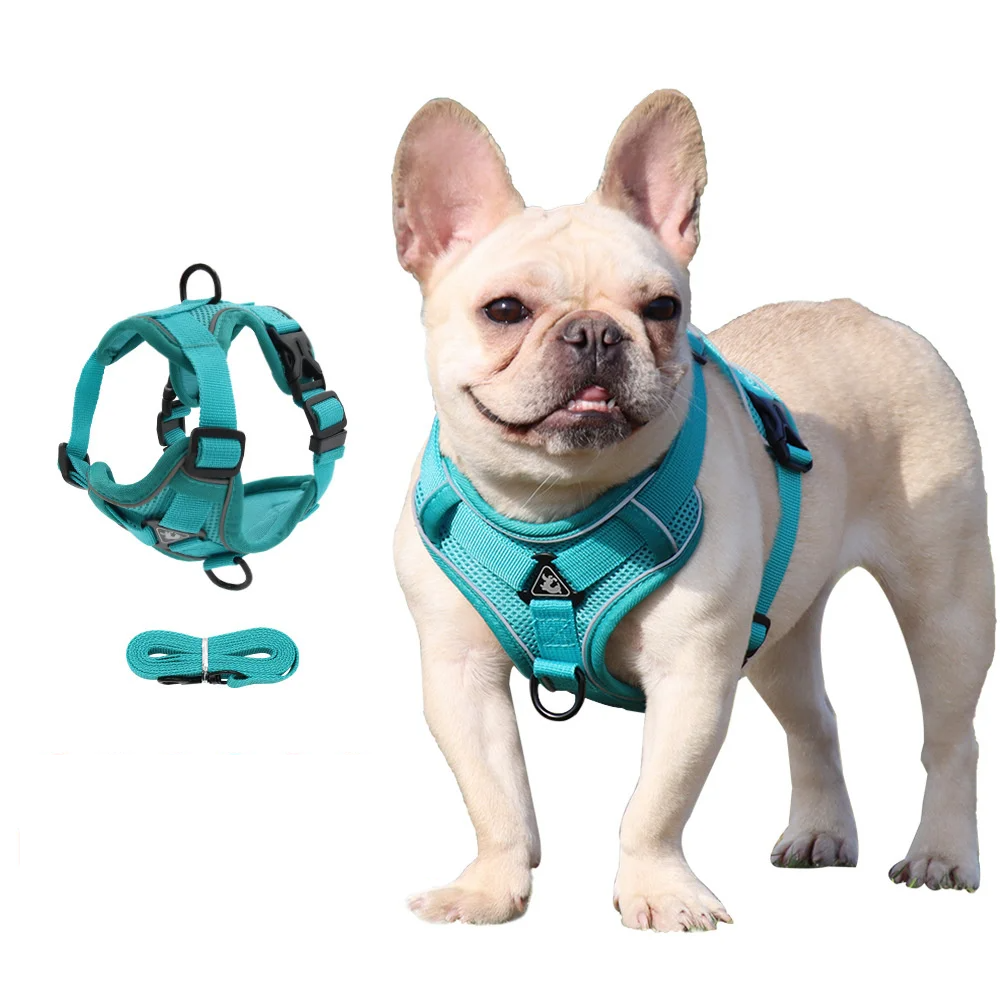 PawSecure Harnas & Lina Zestaw