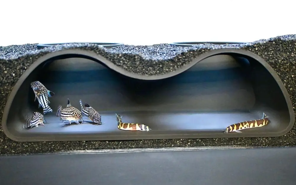 AquaTunnel Wielofunkcyjna Podziemna Jaskinia Akwariowa